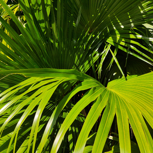 拳交视频汇编大全凸
